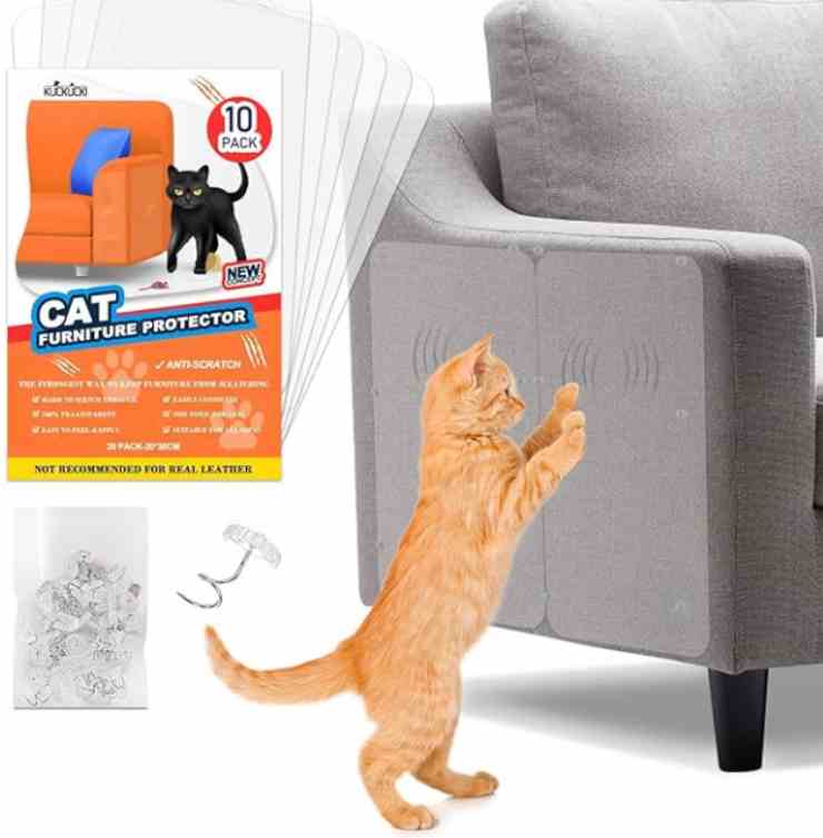 salvare il divano dal gatto