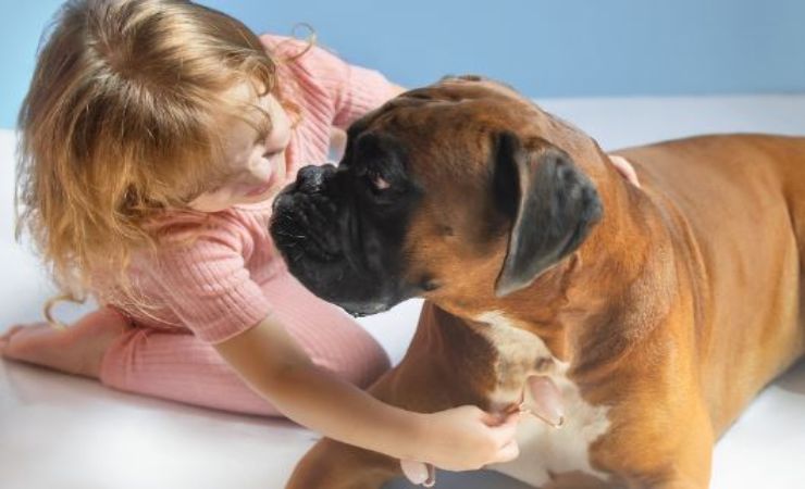 regole interazione cani bambini