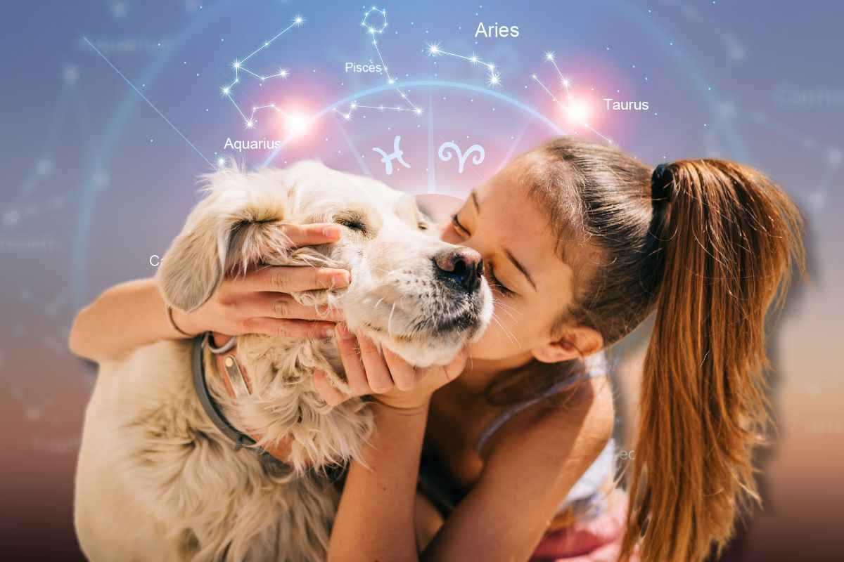 segni zodiacali che amano gli animali