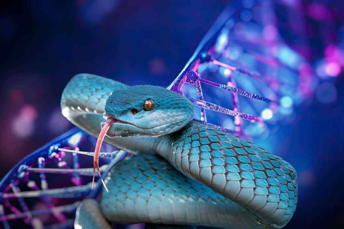 A revolution in the animal world: Snakes are changing and science does not know why