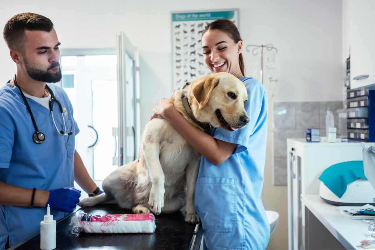 Detrazioni spese veterinarie 2024