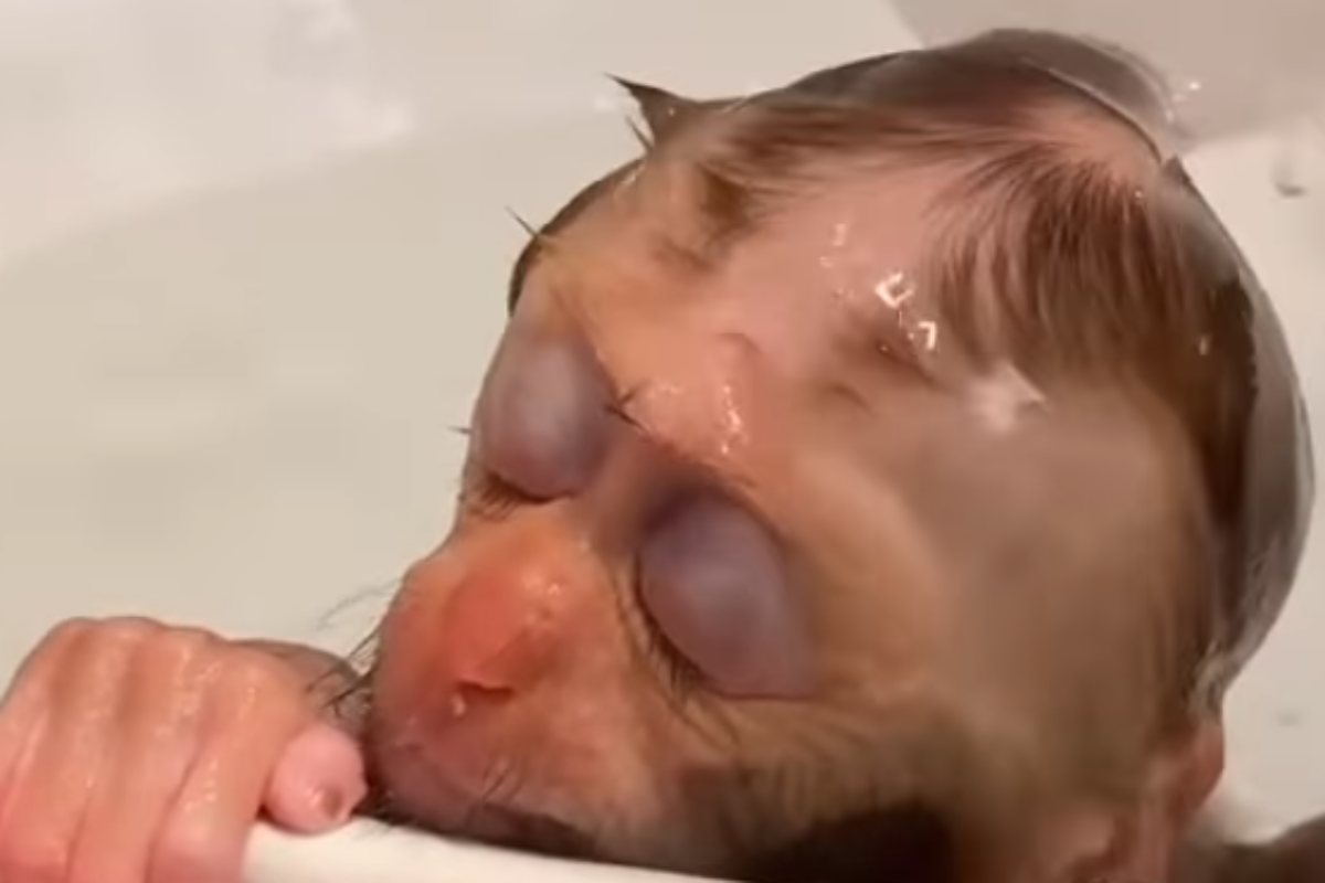 Baby scimmietta bagnetto
