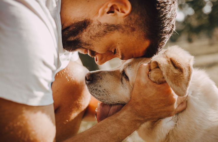 cane sbuffa cosa significa