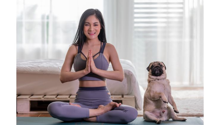 yoga per cane