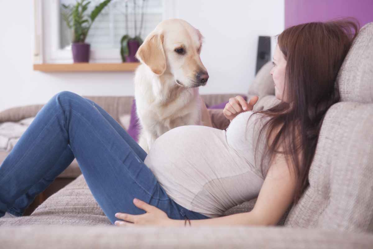 cane insieme alla padrona in sala parto