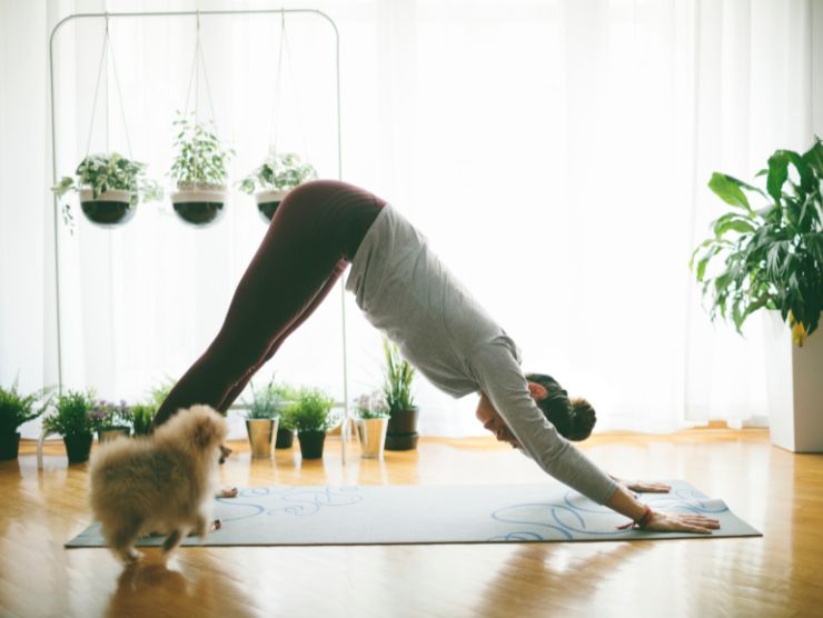 Puppy yoga, cos'è