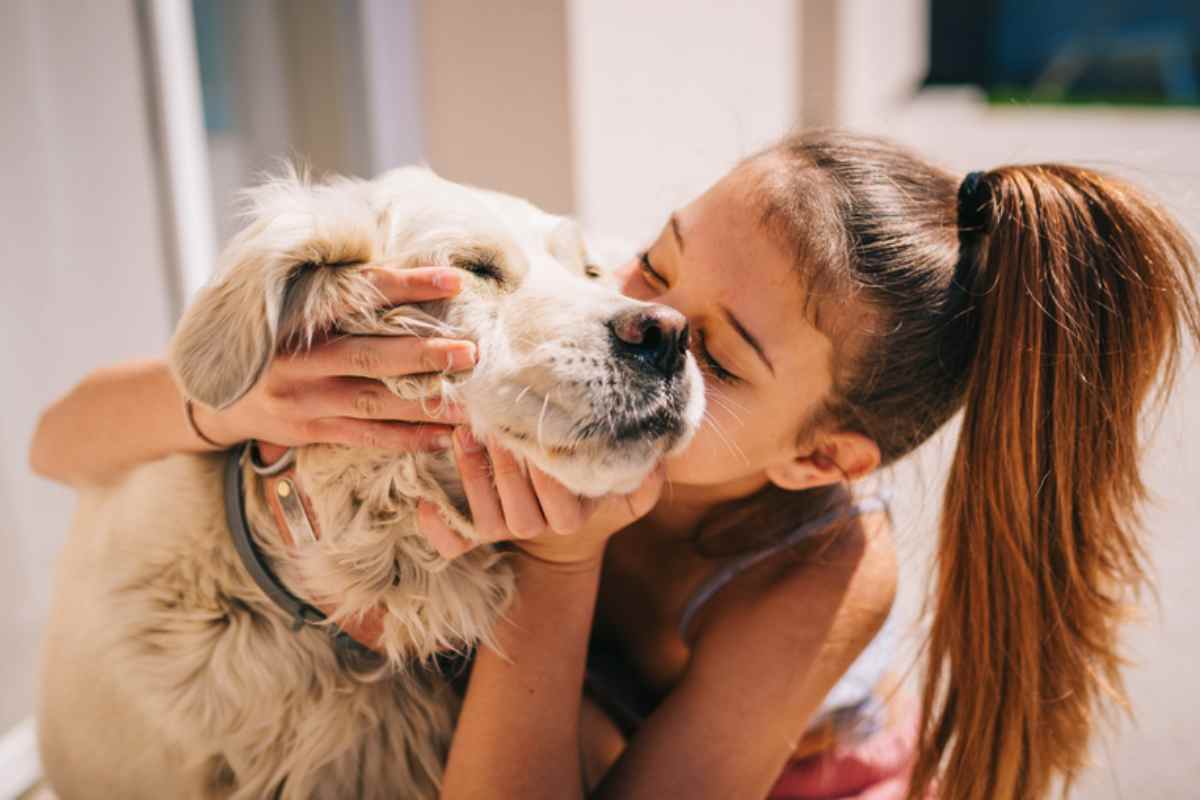 cane segnali d'affetto