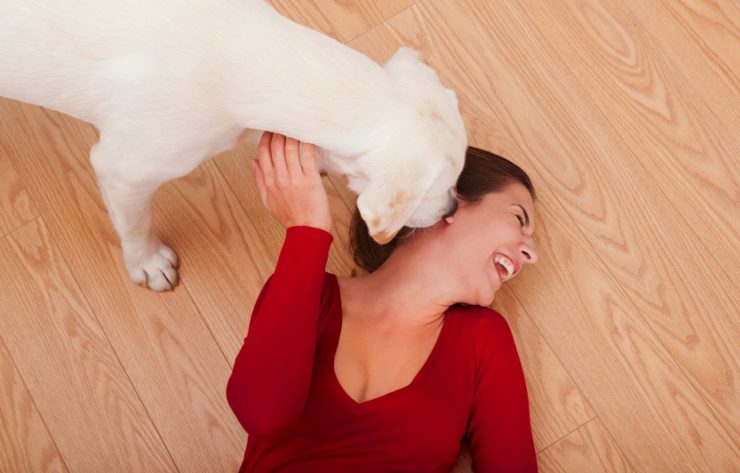 Perché il cane lecca padrone