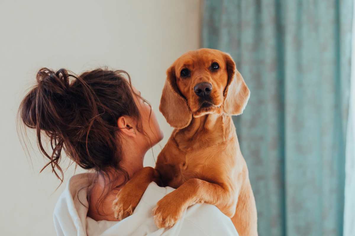 cagnolina salva la padrona