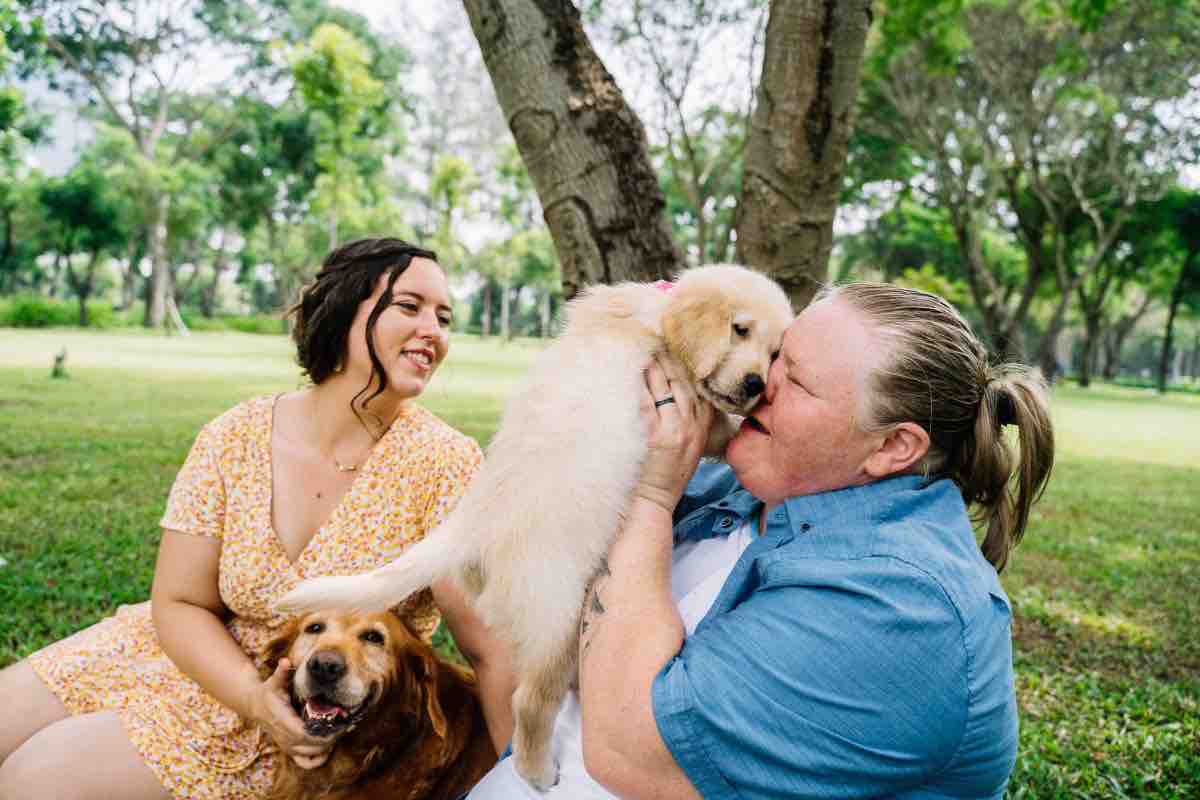 assegno mantenimento cani divorzio