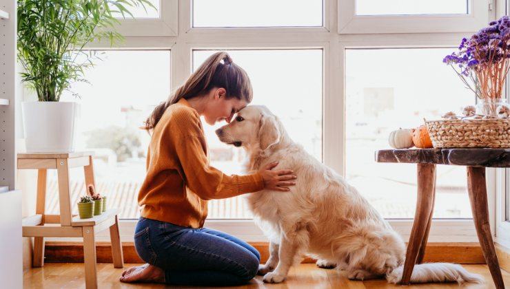 attacchi di panico cane come riconoscerli