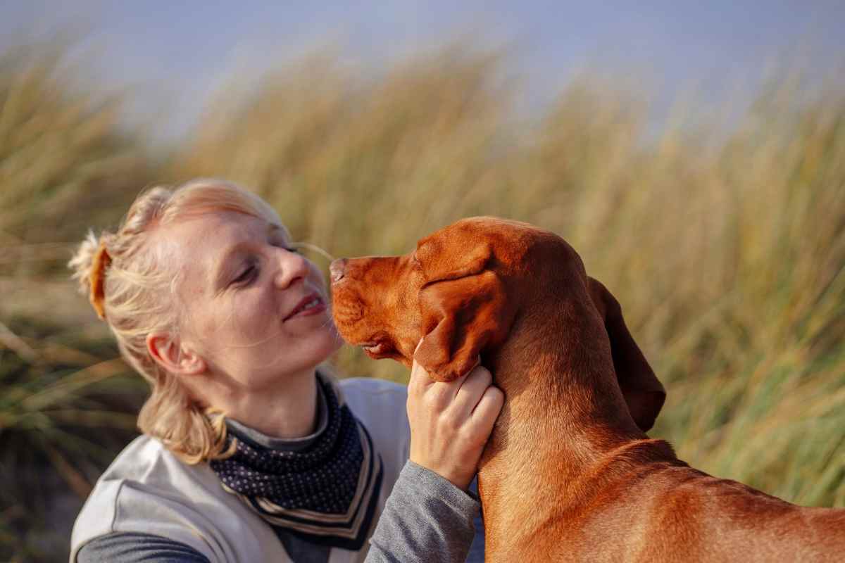 intelligenza artificiale cane