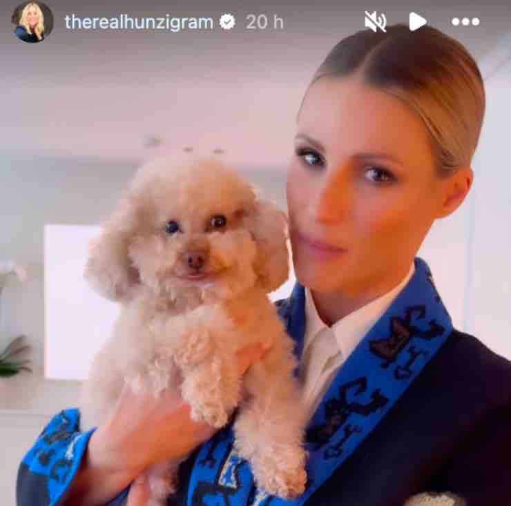 michelle hunziker appello web