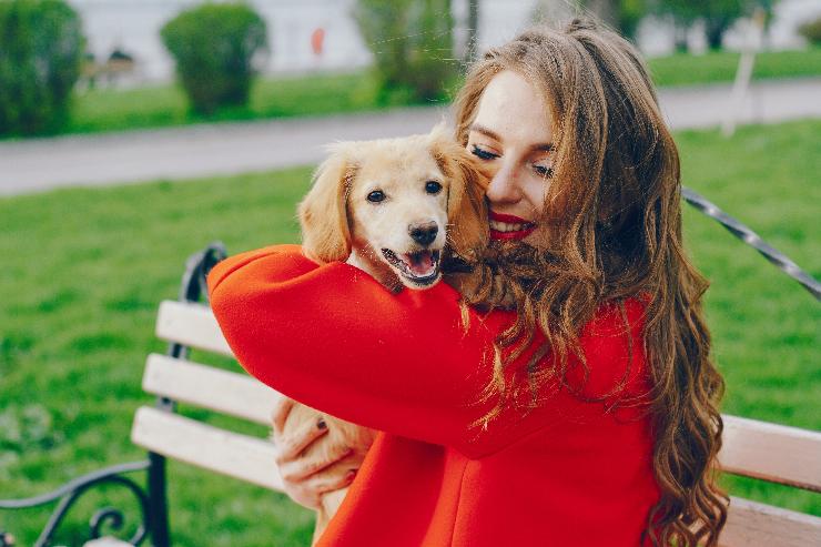 cane ama padrone segnali