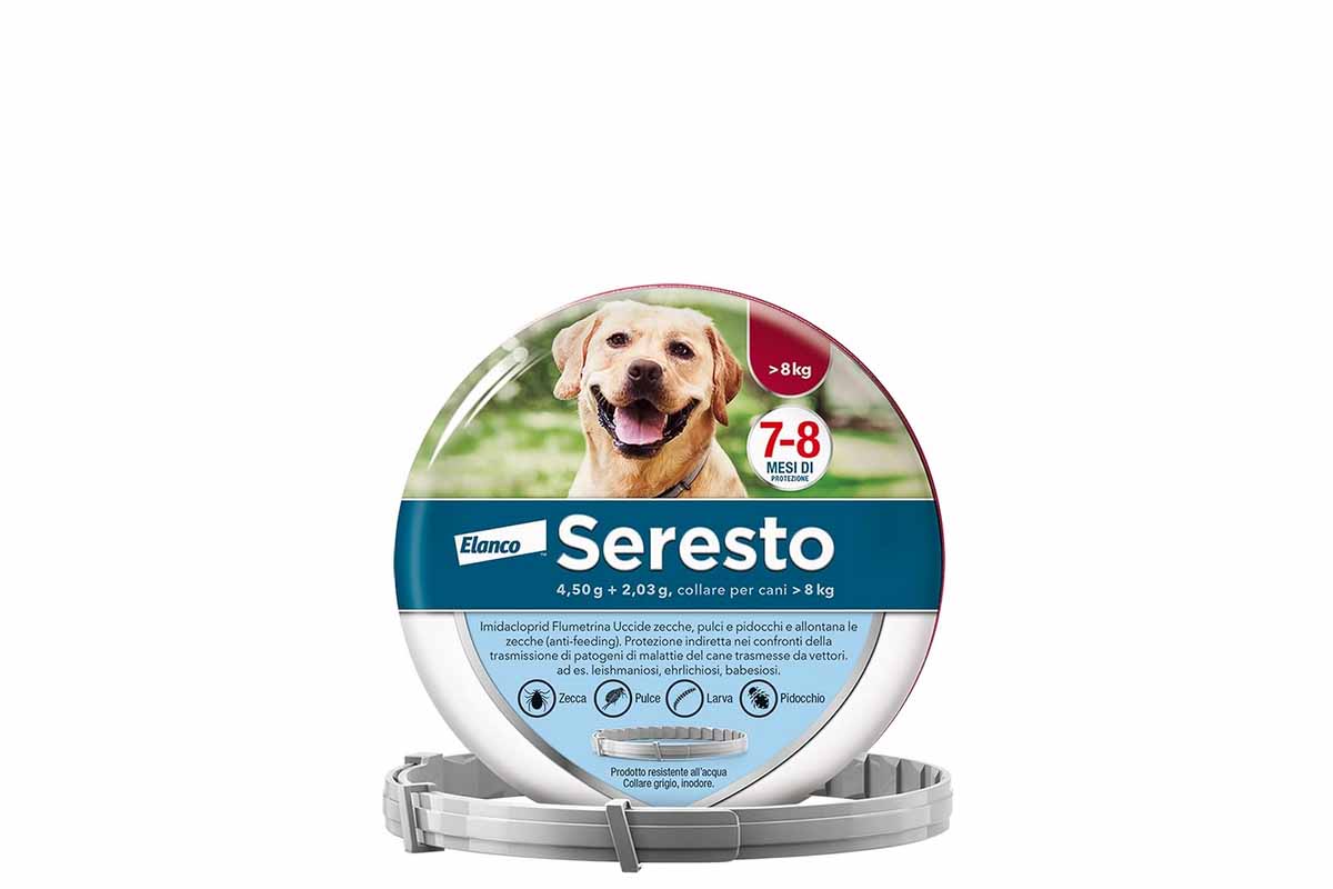 collare antipulci per cani di seresto