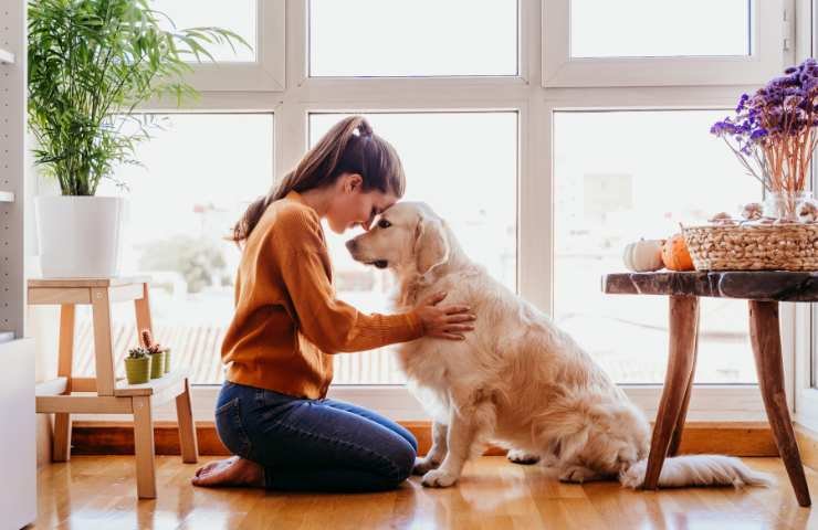 cane con la sua padroncina