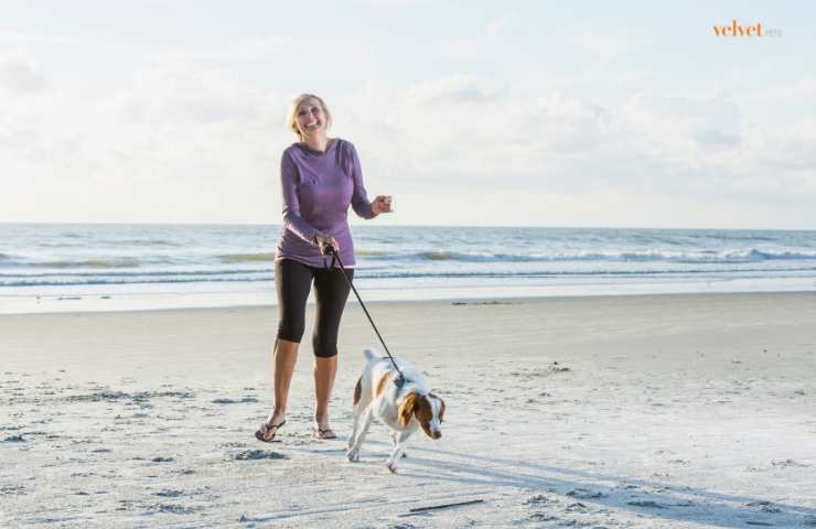 cane al guinzaglio al mare