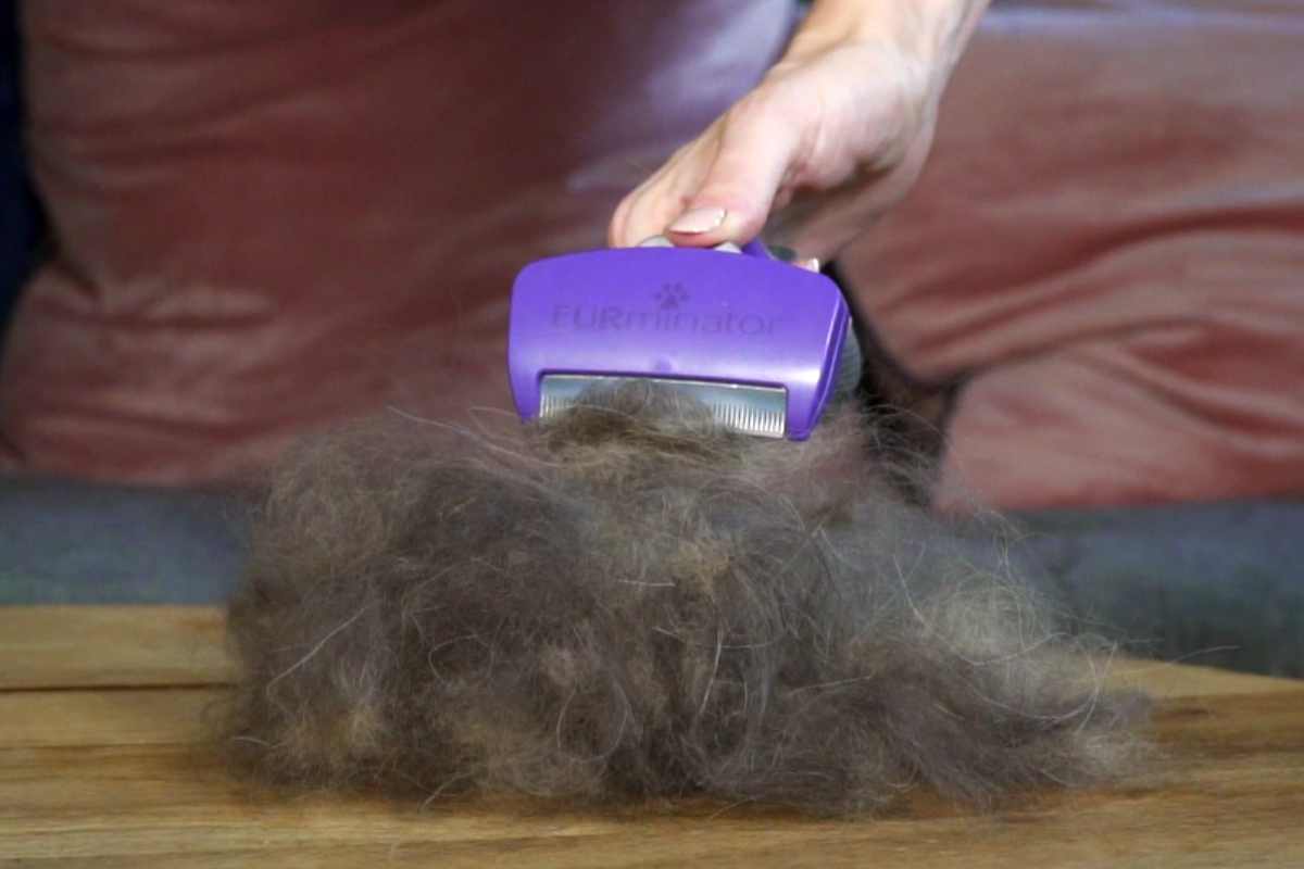 desheddig furminator