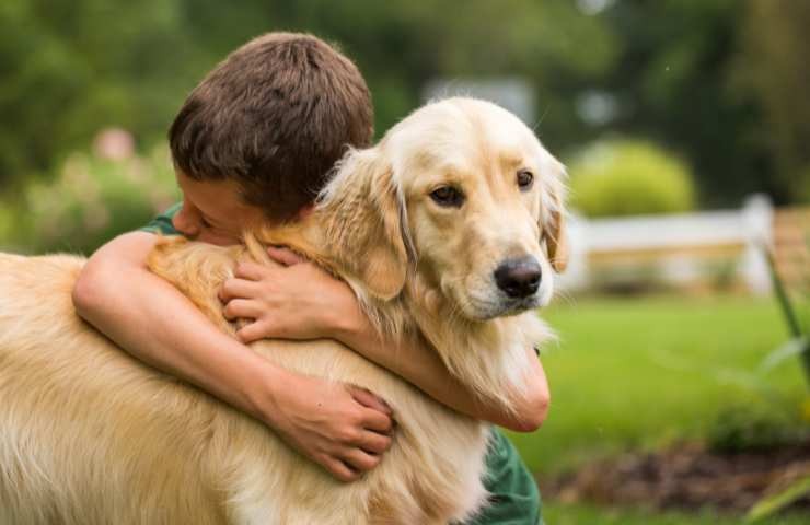 Bambino abbraccia il Golden Retriever