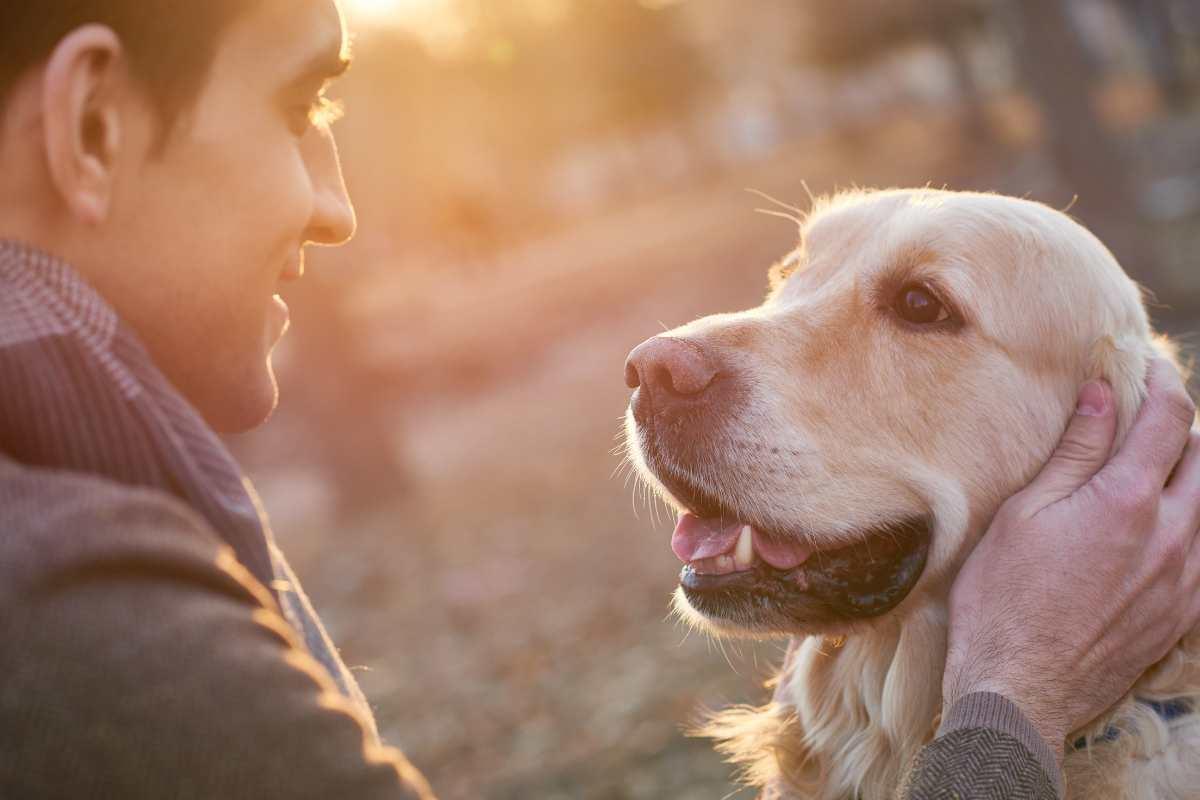 uomo accarezza un cane