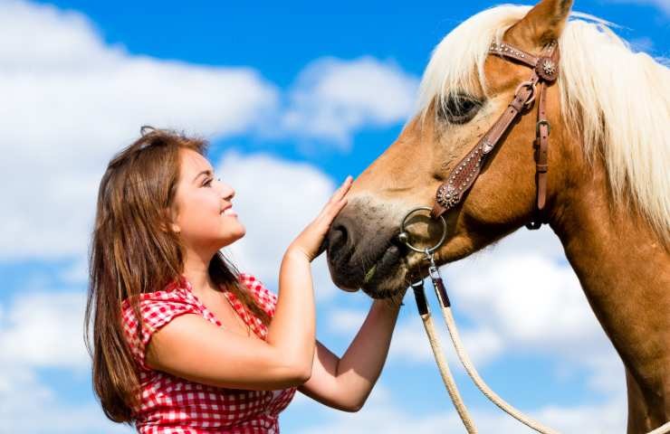 carezze al cavallo