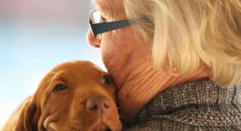 Rimedi naturali contro la Leishmaniosi nel cane: i suggerimenti degli esperti che risolvono il problema