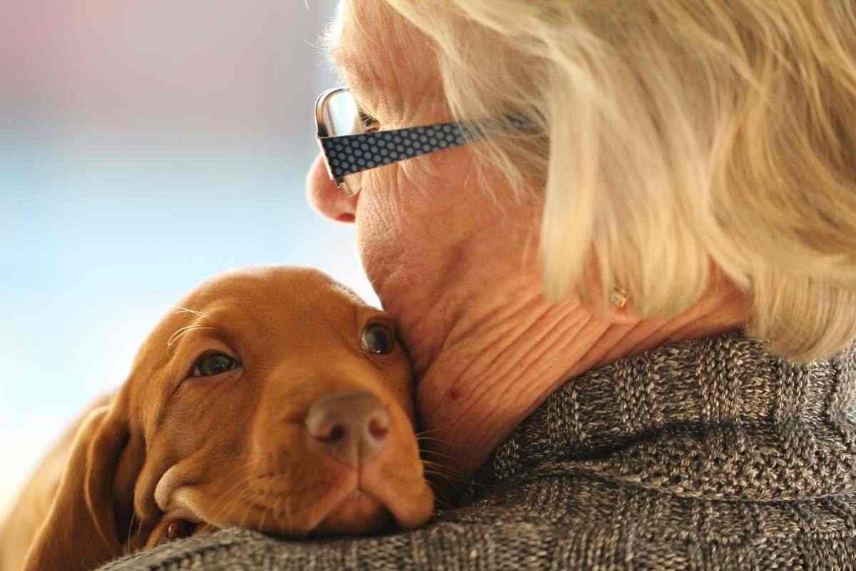 Cagnolino poggiato sulla spalla della donna