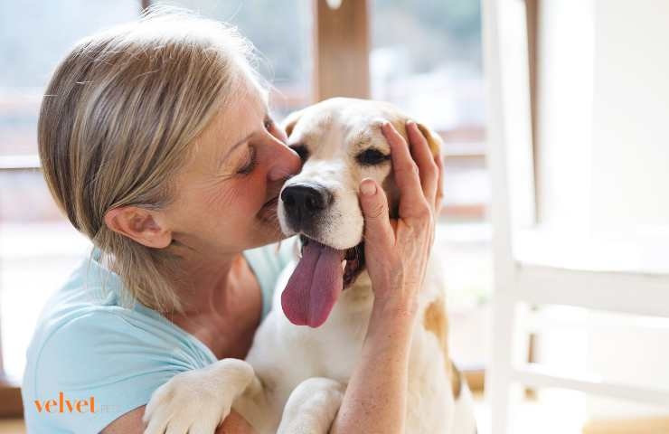 Abbraccio tra il cane e la sua proprietaria