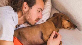 Perché il cane sceglie di dormire proprio con te: questa scoperta ti riempirà il cuore di gioia