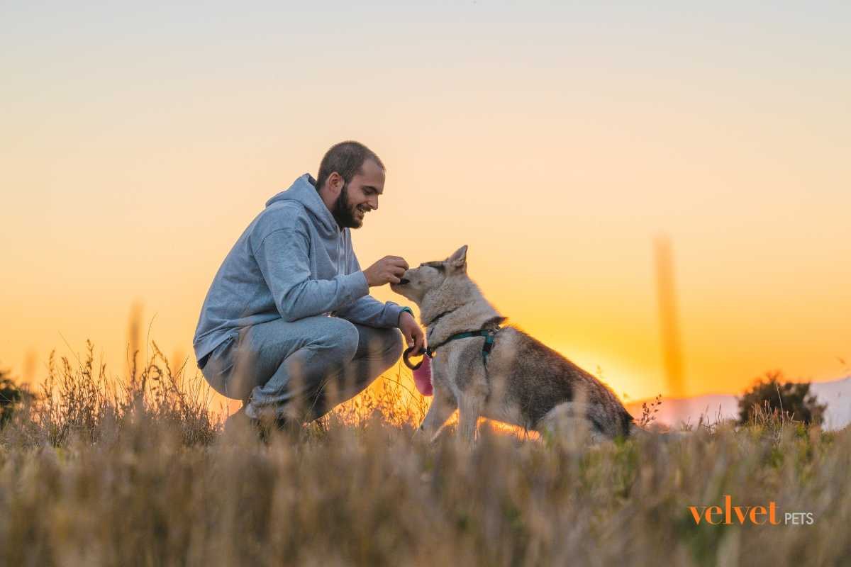 cane con il suo padrone