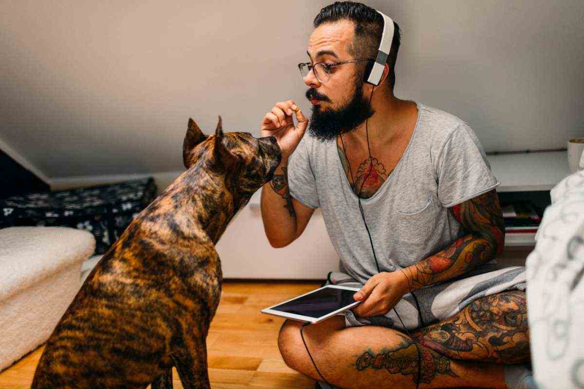 padrone cerca di parlare col suo cane