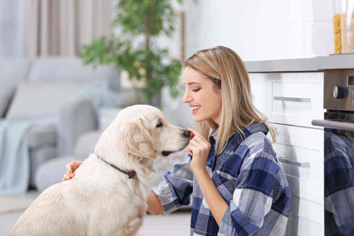 cane che ama la sua proprietaria