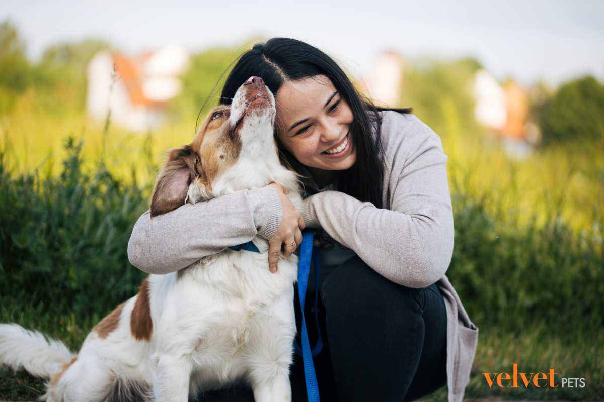 cane abbracciato dalla sua padrona