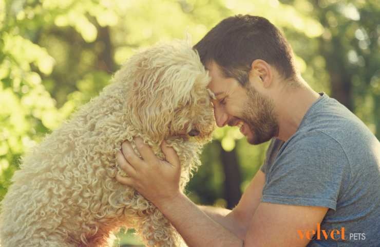 cane con il suo umano felice