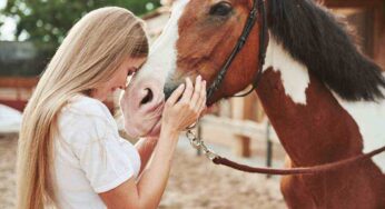 Il tuo cavallo ti vuole bene? Sono questi i segnali che te lo fanno capire subito: non puoi sbagliare
