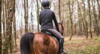 Caduta dal cavallo: di chi è la responsabilità e quando tocca il risarcimento, cosa c’è da sapere