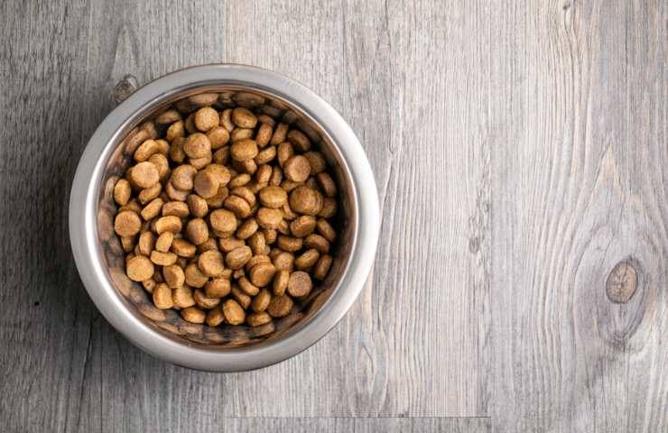 croccantini in una ciotola per il gatto