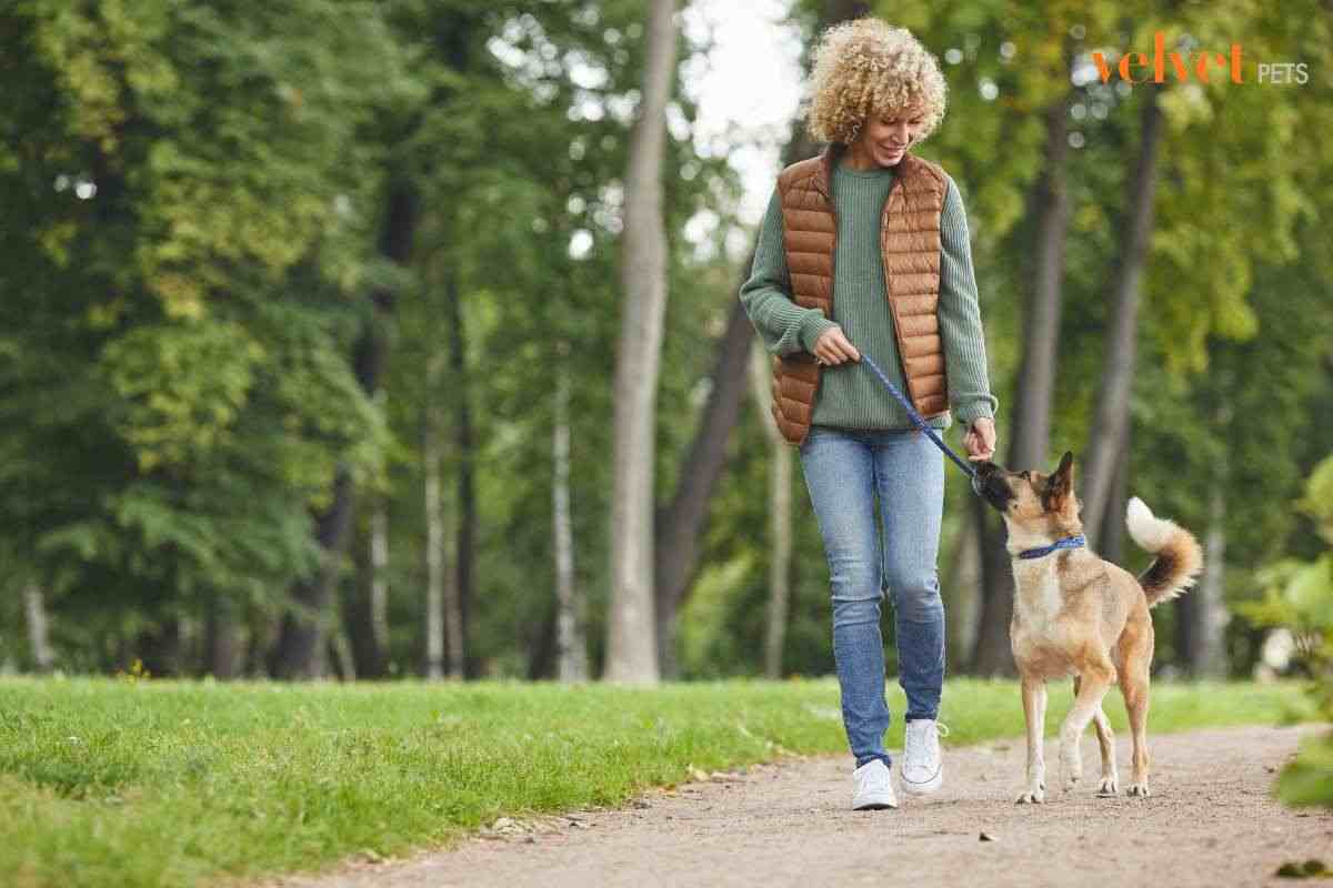 Donna a passeggio col suo cane