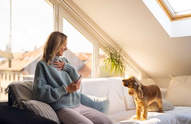 donna che guarda il cane sul divano