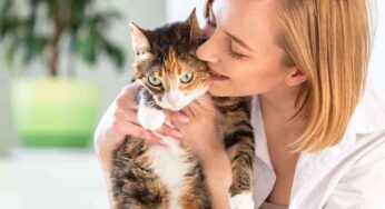 Volete adottare un gatto? Come capire se quello più adatto a voi è un maschio o una femmina