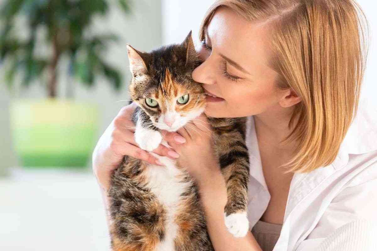 gatto in braccio ad una donna