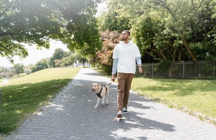 uomo passeggia col cane