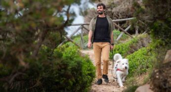 Cosa fare per calmare il cane ed evitare spiacevoli episodi: il consiglio prezioso che può cambiarti la vita