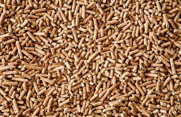 Pellet per la lettiera del coniglio
