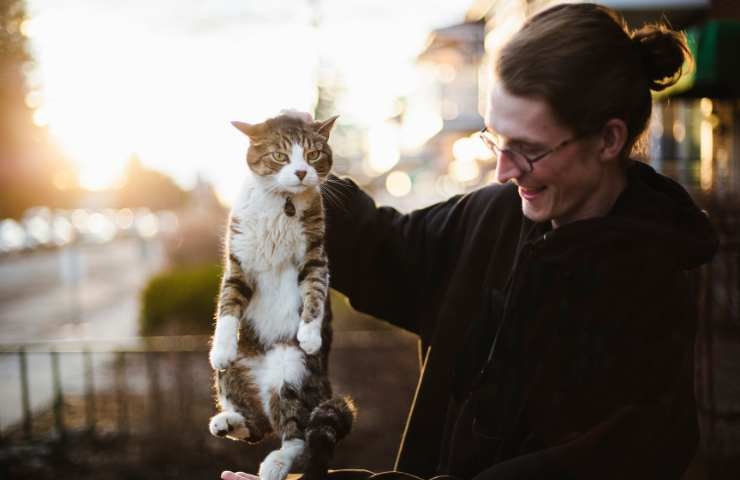 proprietario solleva il gatto con la collottola