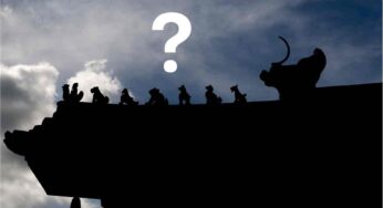 Rumori sul tetto, molti non lo immaginano neanche: può essere addirittura un animale di questo tipo