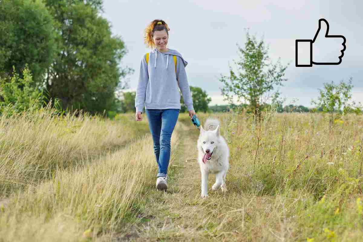 come curare un cane depresso
