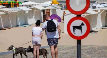 Cani in spiaggia, è cambiato tutto: adesso si possono portare solo seguendo alcune importanti regole