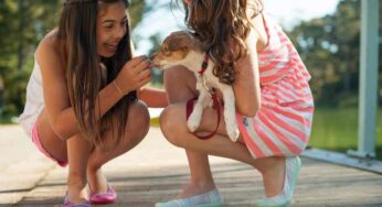 Il rischio che tutti sottovalutano: attenzione quando i bambini interagiscono con i cani