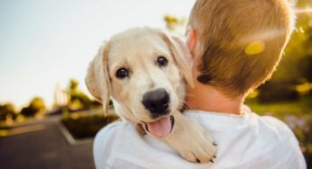 Cose che fanno soffrire il tuo cane